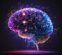 catepilla_image_of_brain_imbalance_blog_banner 90x80